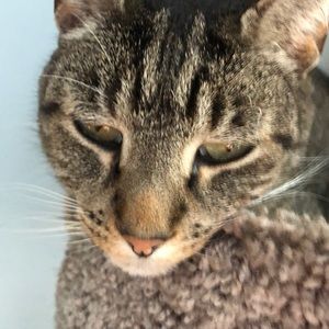 Meet your Posher, Tamara